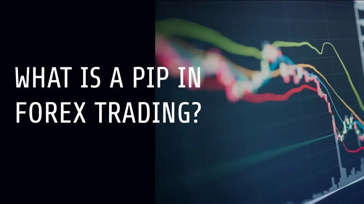 What is a Pip in Forex Trading?